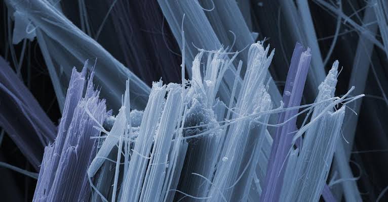 Asbestos The Major Risk Factor of Mesothelioma